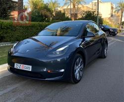 تسلا موديل Y